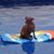Ray Juriga's profile image