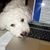 Sheilah Leister's profile image
