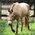 Wendy Hiser's profile image