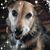 Kathy A Montminy's profile image