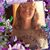 Shanda Bockman's profile image
