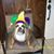Carol Mcgee's profile image