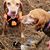 Kathy Schnell's profile image