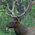 Mike Loos's profile image