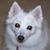 Malinda Mourne Chaney's profile image
