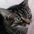 Robin Bole Caruso's profile image