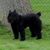 Doreen Schmidt's profile image