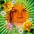 Connie Harris's profile image