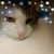 Erin O'Brien's profile image