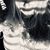 Shannon Llewellyn's profile image