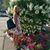 Heather Beach-Matarozzo's profile image