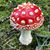Barbara Stetson's profile image