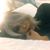 Maria Maio's profile image