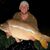 John Hardie's profile image