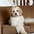 Michelle Tedesco's profile image