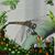 Thalia Kuhns's profile image