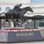 Jeanine LeMaster's profile image