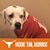 Summer Wunderlich's profile image