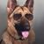 Curlie Burks's profile image