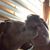 Debbie Kuczek's profile image