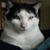 Shaun Harkness's profile image