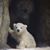 Kathy Webster's profile image