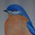 Amanda Bain Wadlow's profile image
