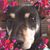 Vivian Moore's profile image