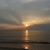 Lisa Boyer's profile image