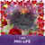 Edie Ptacek's profile image