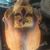 Michael Marcelle's profile image