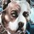 Carlos Alberth Salazar's profile image