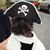 Mary Rapp's profile image