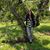 Anne Quirk's profile image