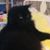 Rosemarie Koebcke's profile image