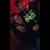 Kyle Harless's profile image