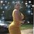 Shonna Tate's profile image