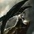 Chris Gonzales P's profile image