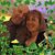 Heather Heaney's profile image