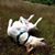 Nettie Seebohm's profile image