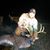 Ben Brinlee's profile image