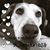 Niki Loulou's profile image