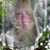 Cyndi Wallace's profile image