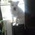 Gilberto Rico's profile image