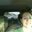 Rachel McSpadden's profile image