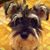 Lark Jackson's profile image