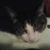 Jessica Cronin's profile image