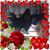 Anette Bowen Glenn Reddick's profile image