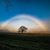 Sharon Smith's profile image
