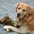 Cheri Hofmann Williams's profile image